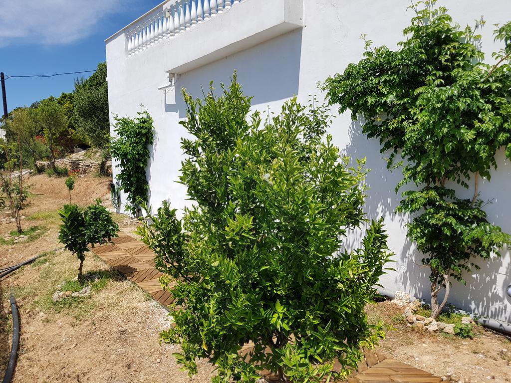 Villa Aphrodite Achlia Exterior foto